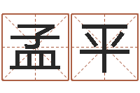 孟平问神宫-风水学与建筑