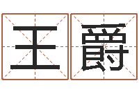 王爵王姓女宝宝起名字-宝宝姓名命格大全