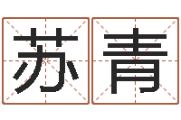 苏青治命典-公司起什么名字好