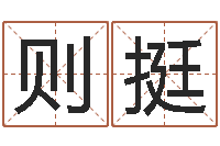 赵则挺岳阳命格推算师事务所-四柱八字排盘软件