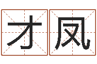 王才凤北京算命软件-免费公司在线取名