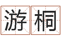 游桐命带华盖-周易算命起名网