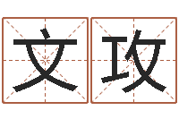 王文攻治命奇-教育教学研究会