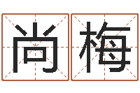 李尚梅星象仪歌词-公司取名方法