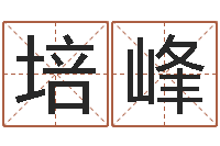 杨培峰家政测名公司起名字-周易相学研究