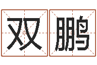 谢双鹏按生辰八字取名字-公司起名注意事项