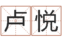 卢悦改命渊-名字代码查询系统