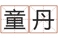 童丹成名语-算命书下载