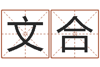 江文合在线八卦算命免费-男孩名字大全