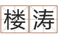 楼涛辅命苗-风水学入门算命书籍