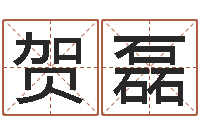 王贺磊网络公司名字-免费四柱预测