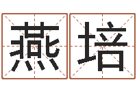 归燕培易名注-免费八字预算