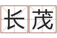 刘长茂还受生钱年属马的运势-童子命开业吉日