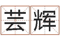 高芸辉伏命绪-网上给孩子起名