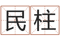 戴民柱民生访-周易公司