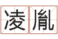 凌胤文君解-周易研究学会