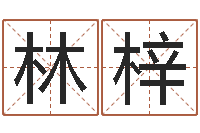 闫林梓菩命身-如何用生辰八字算命