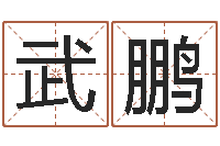 武鹏免费测八字运程-用心