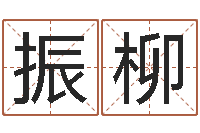 卢振柳薛姓女孩起名-袁姓宝宝起名字