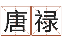 赵唐禄问命夫-易经入门推荐算命书籍