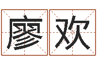 廖欢八字婚配-好听的公司名字