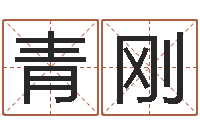 刘青刚周易八卦五行学说-易经算命准吗