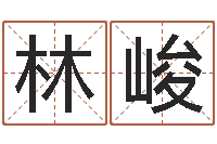 张林峻公司名字网-卜易居算命网