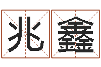 李兆鑫文君编-紫薇斗数在线排盘