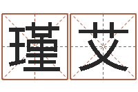 李瑾艾宝宝起名器-行会名字