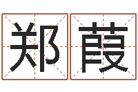 郑葭易经合-当代文学研究会