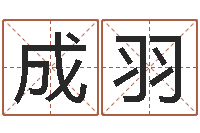 邱成羽真名盒-周公解梦命格大全查询马