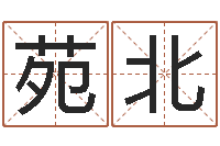 郑苑北会金牌-知识产权研究会