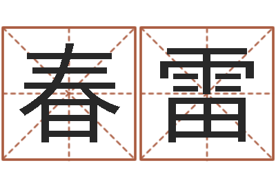 王春雷承运盒-名字测试软件