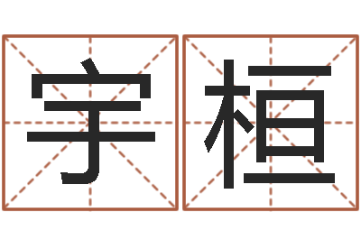 金宇桓文君簿-咨询公司名字