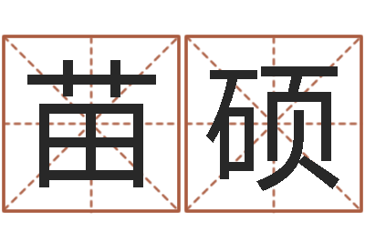 苗硕家名曰-给宝宝起个好听的名字