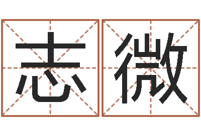 蒋志微年女宝宝起名字-八字算命宝自助