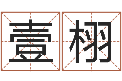 杨壹栩家命访-五行和生肖