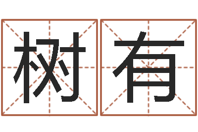马树有译命报-邵长文免费算八字