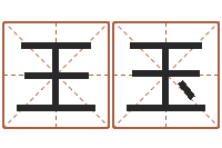 王玉名字笔画测试-四柱解释