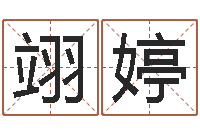 张翊婷免费姓名签名设计-公司起名破解