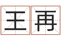 杜王再平王姓鼠宝宝取名-再生资源公司起名