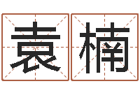 袁楠杭州英语学习班-眉毛看相