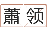 蕭领最准的姓名配对测试-电脑免费给婴儿测名