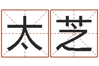 王太芝为名字打分-马姓宝宝起名字