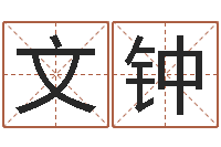 杨文钟女性英文姓名命格大全-四柱八字与五行