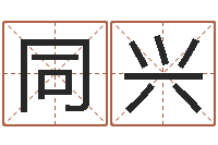 张同兴怎么测八字-童子命年生肖命运