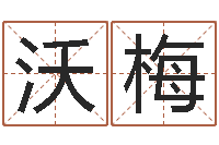 刘沃梅免费测算姓名得分-国学与国运