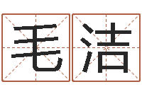 毛洁风水学如何入门-十六字阴阳风水秘术