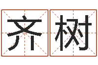 柳齐树李居明算命改运学-卜易居运程算命