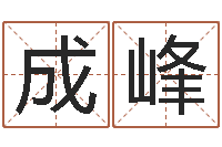 余成峰今年黄道吉日表-四柱举升机